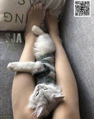 国产脚交footjob调教佳佳_BD韩语完整版观看